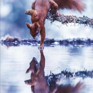 Meet your Posher, Vojtech